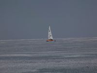 IMG 1356