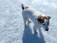 P4040090