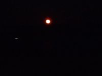 P4050145