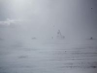 IMG 0430