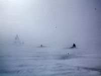 IMG 0435