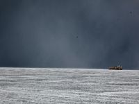 IMG 0480