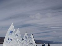 IMG 0958
