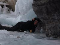 IMG 0987