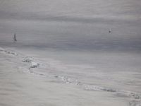 IMG 1017