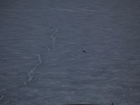 IMG 1024