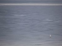 IMG 1041