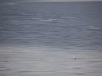IMG 1042